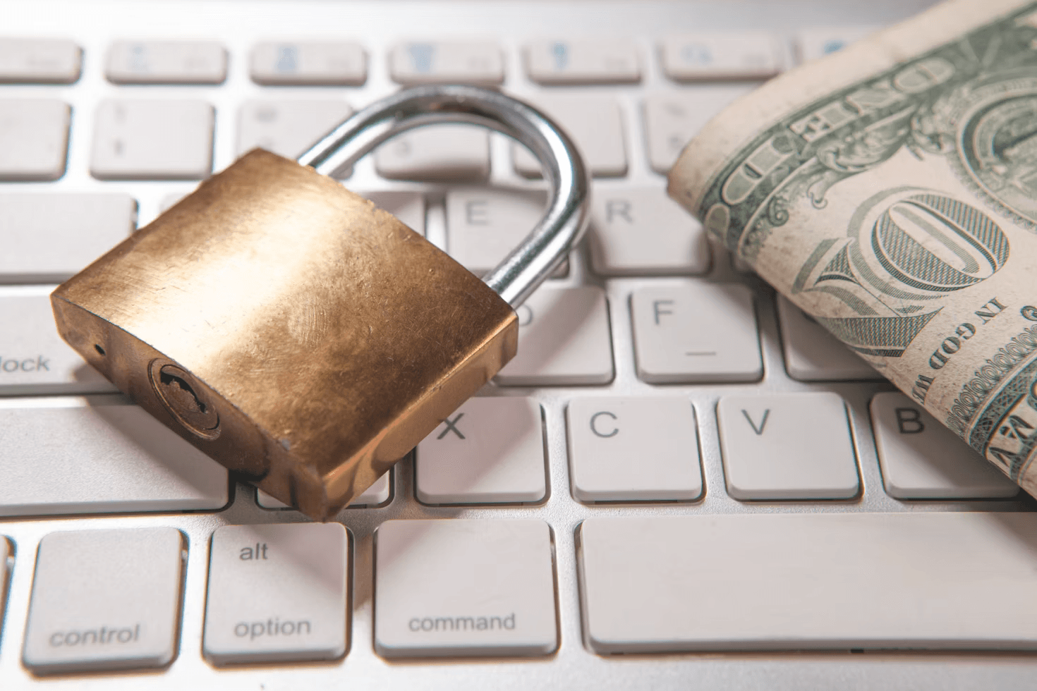How Better Entity Verification Helps Reduce Payment Fraud